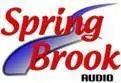 wwwspringbrookaudiocom ALSO BY STEVE TEM FROM CROSSROAD PRESS DAUGHTERS By - фото 2