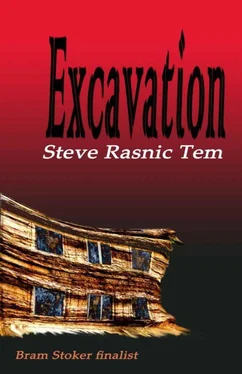 Steve Tem Excavation обложка книги