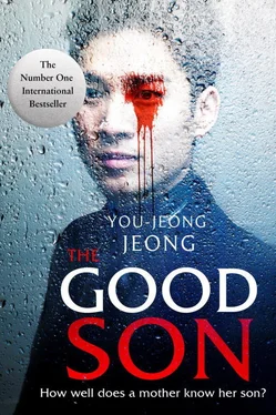 You-jeong Jeong The Good Son обложка книги