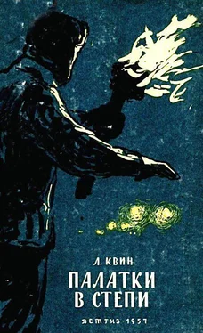 Лев Квин Палатки в степи обложка книги