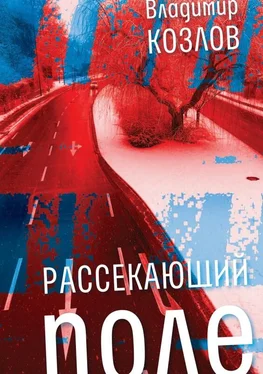 Владимир Козлов Рассекающий поле обложка книги