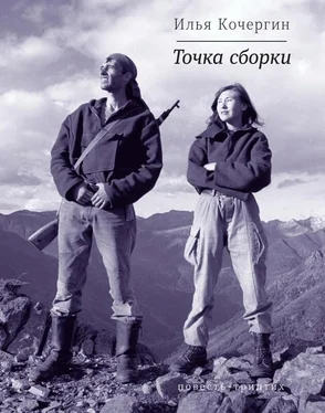 Илья Кочергин Точка сборки (сборник) обложка книги