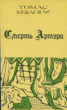 Томас Мэлори Смерть Артура. Книга 2 обложка книги