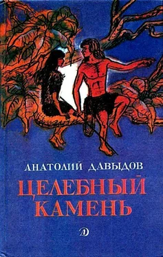 Анатолий Давыдов Целебный камень. Повесть и рассказы обложка книги