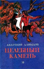 Анатолий Давыдов - Целебный камень. Повесть и рассказы