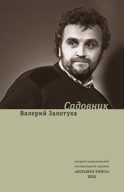 Валерий Залотуха Садовник [сборник] обложка книги