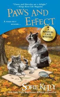 Софи Келли Paws Аnd Effect обложка книги
