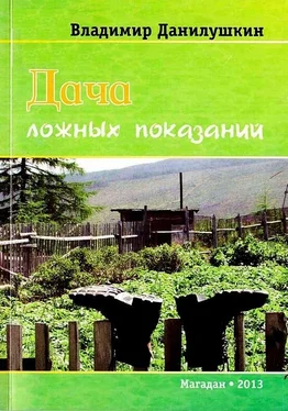 Владимир Данилушкин Дача ложных показаний обложка книги