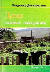 Владимир Данилушкин - Дача ложных показаний