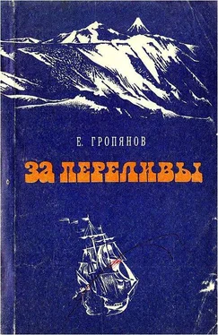 Евгений Гропянов За переливы обложка книги