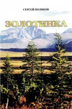 Сергей Поляков Золотинка обложка книги