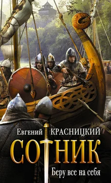 Евгений Красницкий Беру все на себя [litres] обложка книги