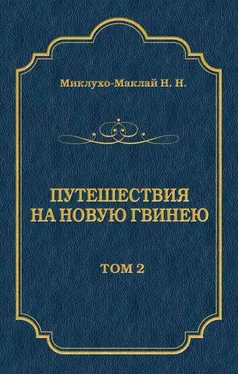 Николай Миклухо-Маклай Путешествия на Новую Гвинею (Дневники путешествий 1874—1887). Том 2 обложка книги