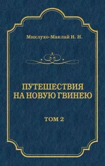 Николай Миклухо-Маклай - Путешествия на Новую Гвинею (Дневники путешествий 1874—1887). Том 2