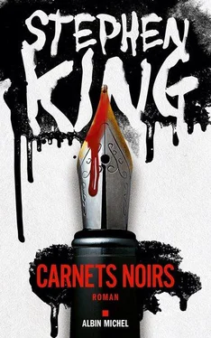 Stephen King Carnets noirs