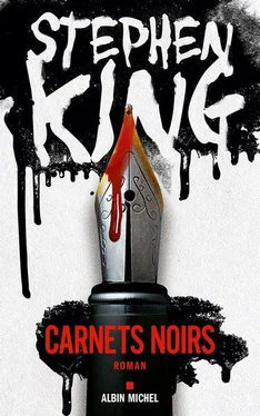 Stephen King Carnets noirs обложка книги