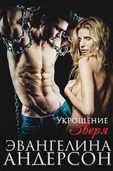 Эвангелина Андерсон - Укрощение зверя