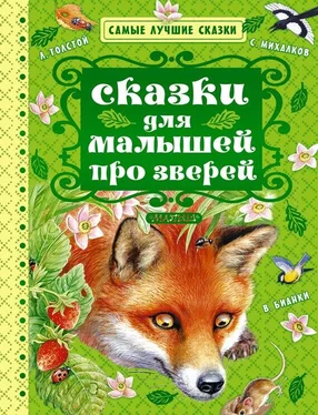 Николай Сладков Сказки для малышей про зверей (сборник) обложка книги