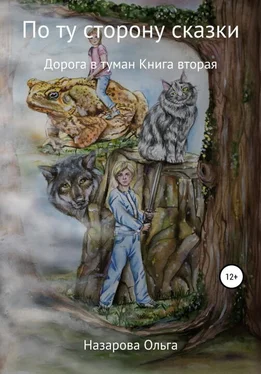 Ольга Назарова Дорога в туман обложка книги