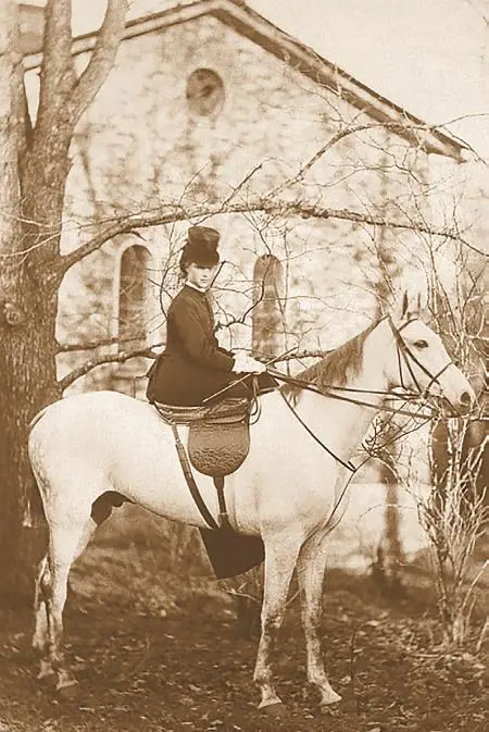 Принцесса Дагмар 1866 год По распоряжению короля Кристиана IX цесаревича - фото 18