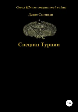 Денис Соловьев Спецназ Турции обложка книги