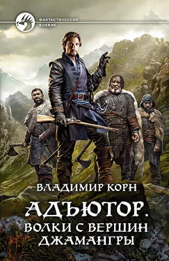 Владимир Корн Волки с вершин Джамангры [litres] обложка книги