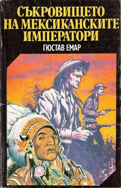 Гюстав Емар Мексикански разбойници обложка книги