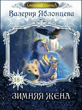 Анастасия Волжская Зимняя жена обложка книги
