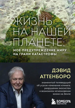 Дэвид Аттенборо Жизнь на нашей планете. Мое предупреждение миру на грани катастрофы обложка книги