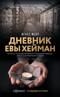 Агнес Жолт Дневник Евы Хейман обложка книги