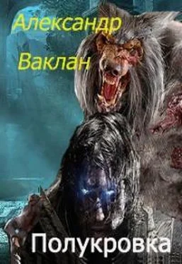 Александр Ваклан Полукровка [СИ] обложка книги