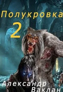 Александр Ваклан Полукровка 2 обложка книги