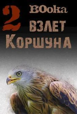 Алексей Акданин Взлет Коршуна 2 обложка книги