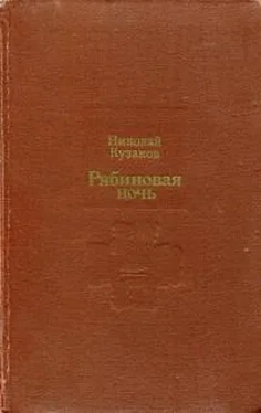 Николай Кузаков Рябиновая ночь обложка книги