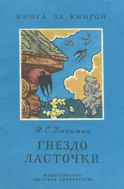 Иван Никитин Гнездо ласточки [авторский сборник] обложка книги