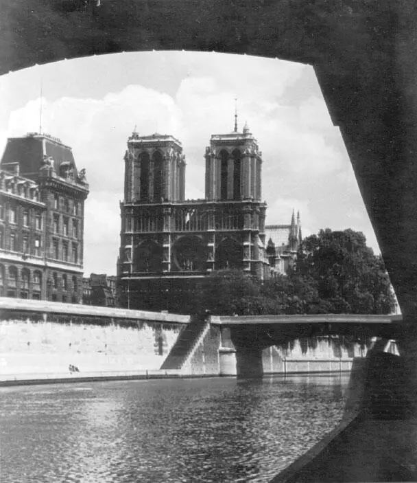 НотрДам со стороны моста СенМишель НотрДам со стороны Pont de lArchevêché - фото 26