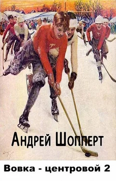 Андрей Шопперт Вовка-центровой - 2 [СИ] обложка книги