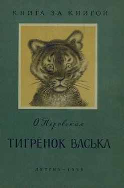 Ольга Перовская Тигрёнок Васька [авторский сборник] обложка книги