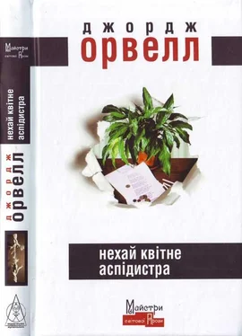 Джордж Оруэлл Нехай квітне аспідистра обложка книги