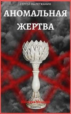 Сергей Вылегжанин Аномальная жертва [СИ] обложка книги