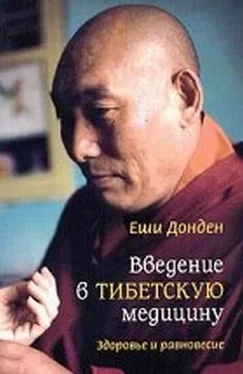 Еши Донден Введение в тибетскую медицину. Здоровье и равновесие обложка книги