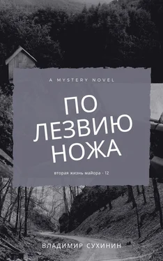 Владимир Сухинин По лезвию ножа [СИ litres] обложка книги