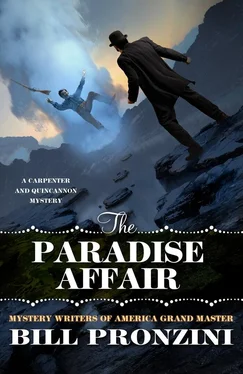 Билл Пронзини The Paradise Affair обложка книги