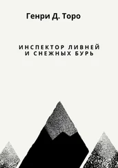 Генри Торо - Инспектор ливней и снежных бурь