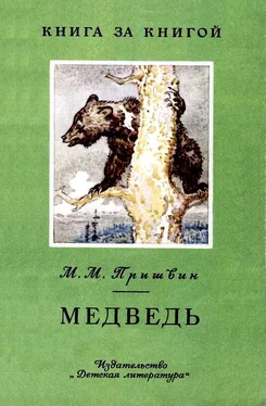 Михаил Пришвин Медведь [авторский сборник] обложка книги