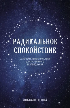 Лобсанг Тенпа Радикальное спокойствие. Созерцательные практики для глубинного благополучия обложка книги