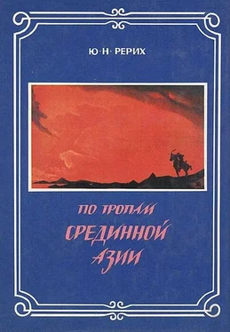 Юрий Рерих По тропам Срединной Азии обложка книги