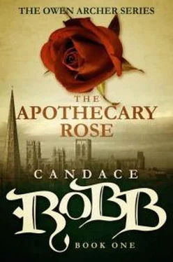 Кэндис Робб The Apothecary Rose обложка книги