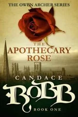 Кэндис Робб - The Apothecary Rose