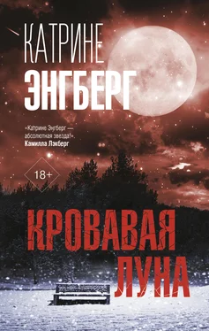 Катрине Энгберг Кровавая луна [Литрес] обложка книги